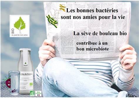 Un air de Printemps, besoin d'énergie, une petite détox : La sève de bouleau fraîche !! Un air de Printemps, besoin d'énergie, une petite détox : La sève de bouleau fraîche !!