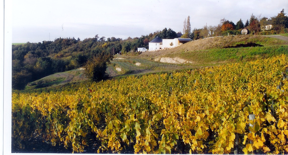 Cave - Domaine Rochambeau Cave - Domaine Rochambeau