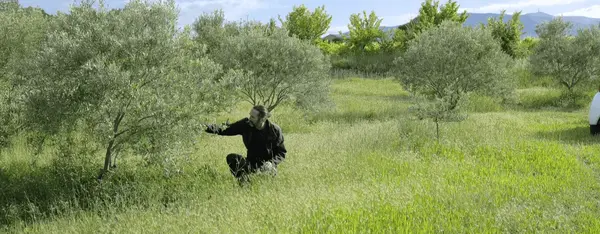 Carpentras : l'esprit sain de la bio