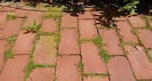 Désherbant naturel pour les zones décoratives